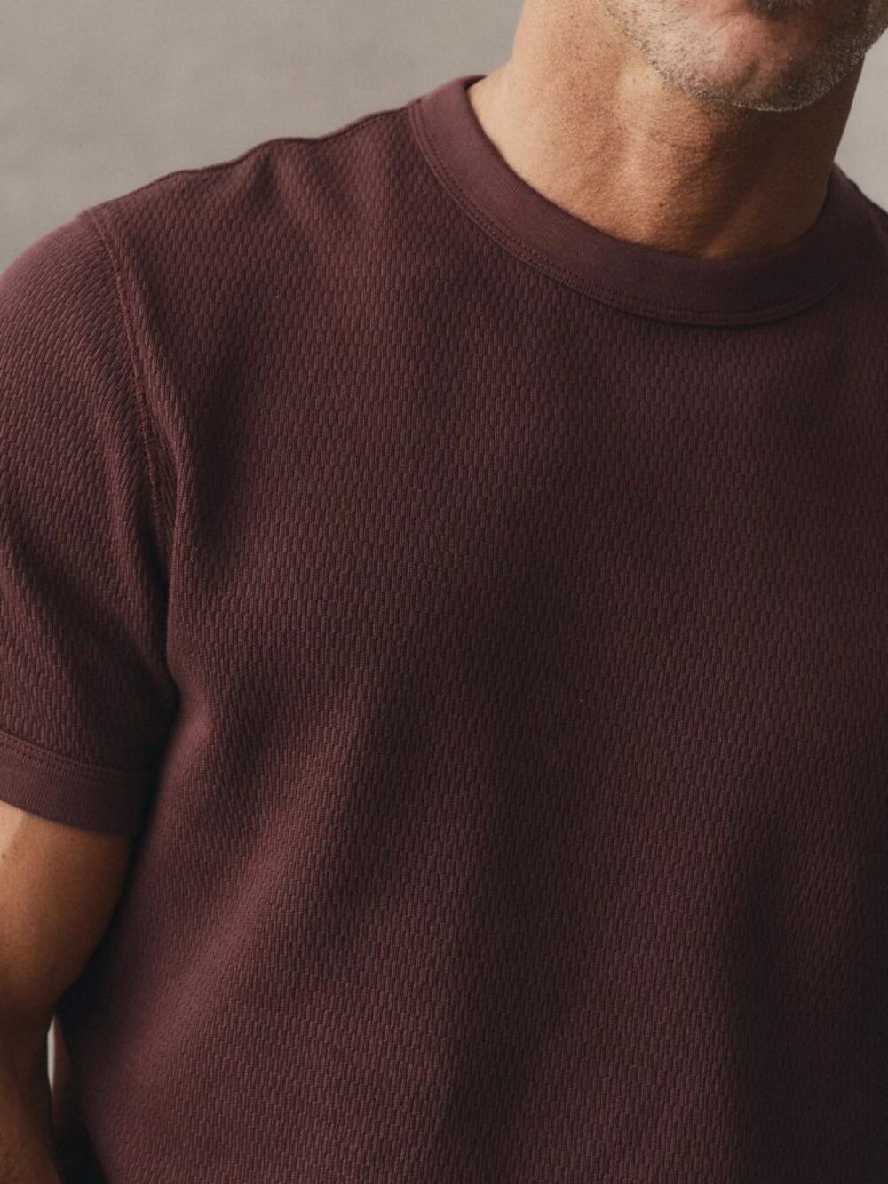 Taylor Stitch Men's The Organic Cotton Short Sleeve Crew S  Burgundy Waffle